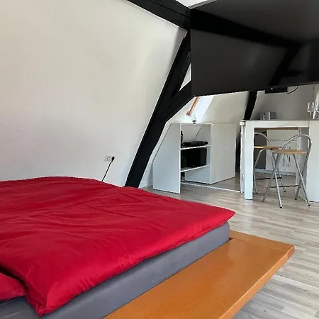 Apartmán Loftcharakter Unter Historischem Gebaelk *