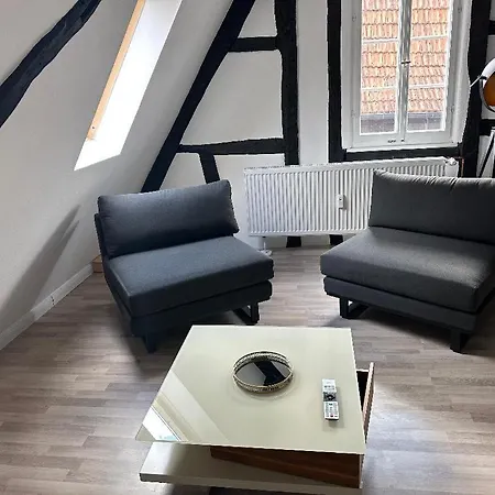 Loftcharakter Unter Historischem Gebaelk *
