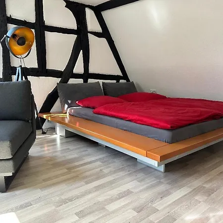 Loftcharakter Unter Historischem Gebaelk *